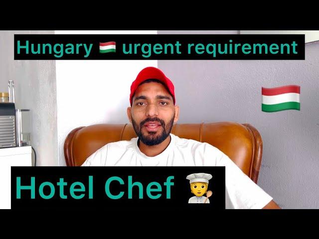 Hungary urgent requirement, hotel chef ‍  ￼ male female