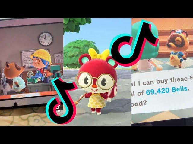 animal crossing tiktok memes that hit harder than my net