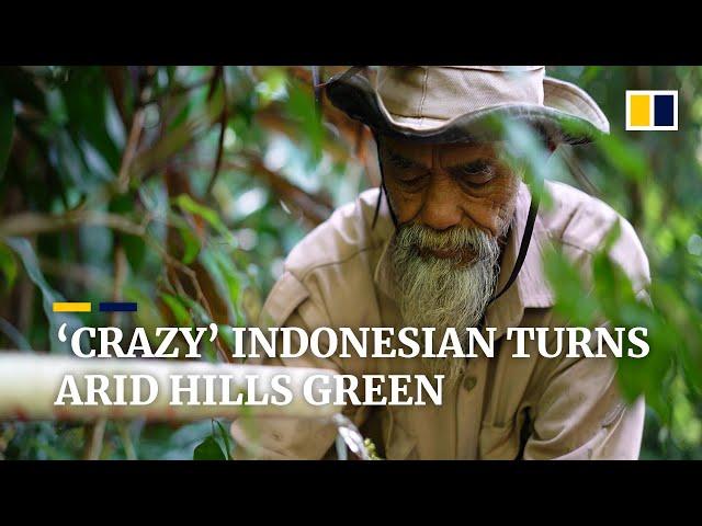 Indonesian ‘madman’ turns barren hills green by planting 11,000 trees