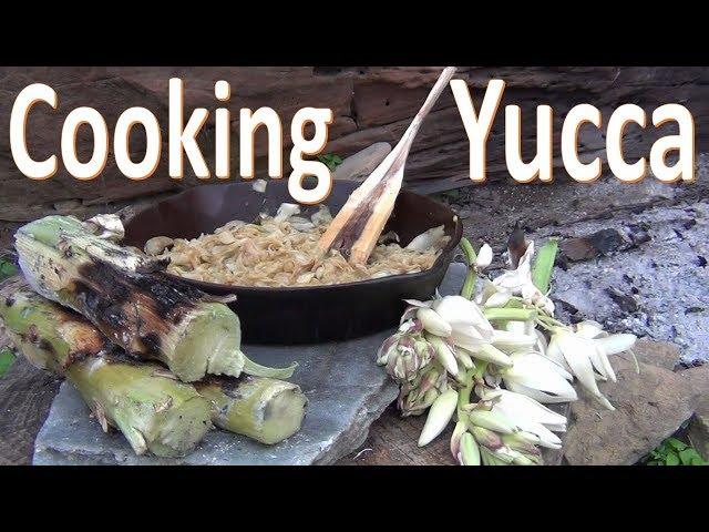Cooking Yucca -From Field to Fire- Desert Survival