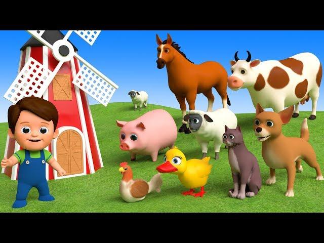 Learn Farm Animals Names & Sounds