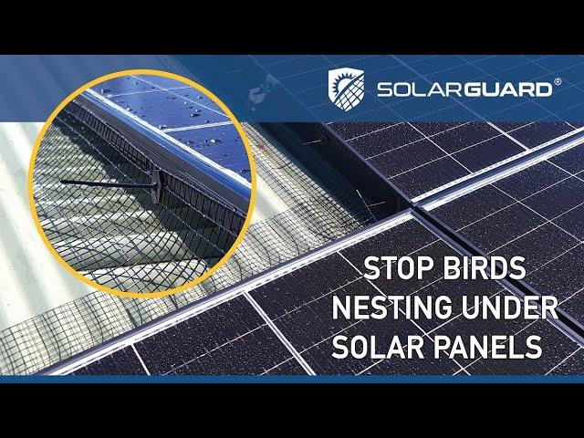 Solargaurd Solar Panel Protection - simple guide to deter birds and rodents away from solar panels