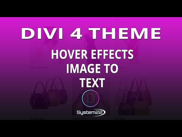 Divi Theme Hover Effects Image To Text Effect 