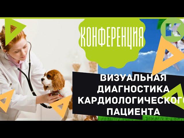 Визуальная диагностика кардиологического пациента ветцентр котонай конференция