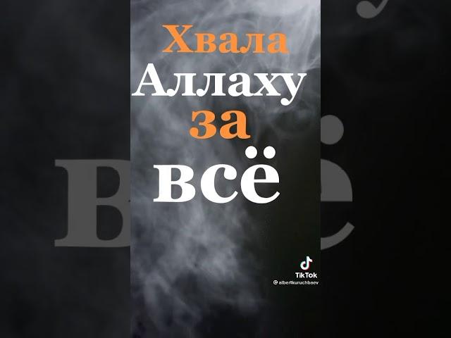 хвала Аллаху за всё