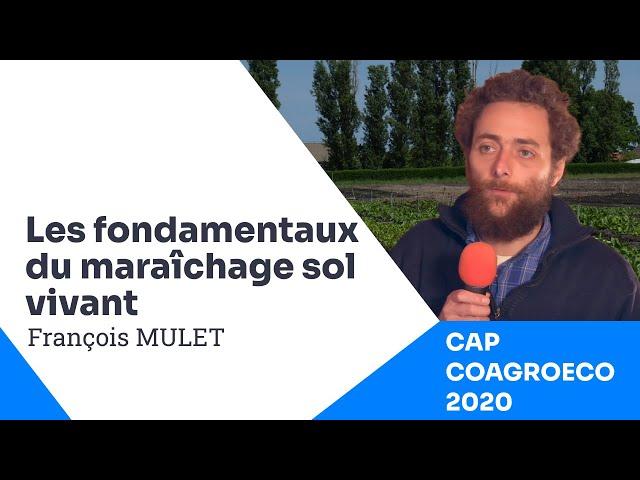 Les fondamentaux du Maraîchage Sol Vivant, par François Mulet