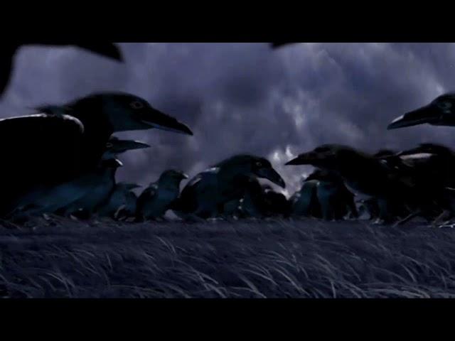 Raven Software - The Flock (2003)