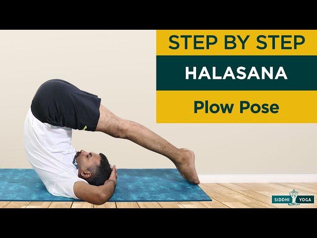 Halasana (Plow Pose) How to Do Step by Step for Beginners, Benefits, Precautions | Yoga Inversions