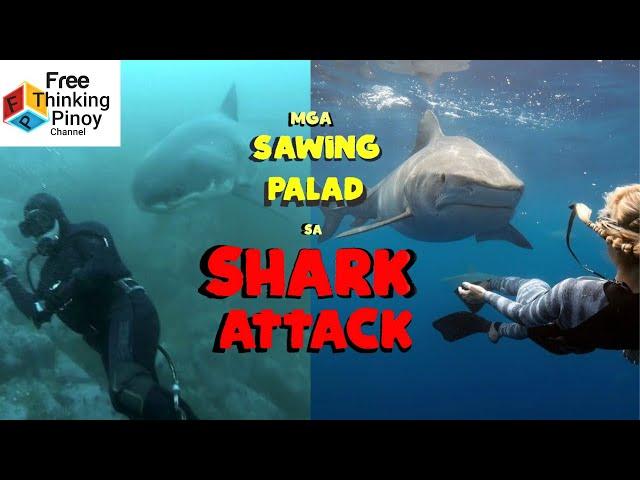 25 Scary Shark Encounter Caught on Tape | Nakakatakot na Engkwentro sa Pating