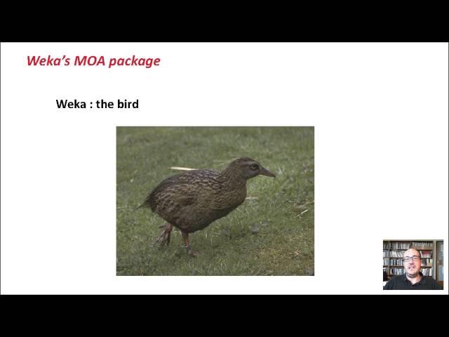 Advanced Data Mining with Weka (2.2: Weka’s MOA package)