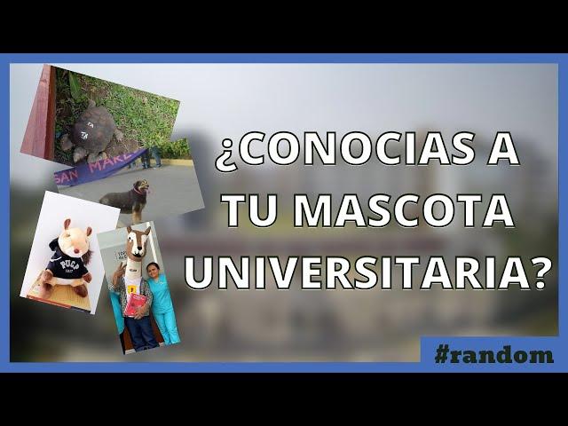 ¿Conoces a la mascota de tu universidad? 10 mascotas universitarias peruanas