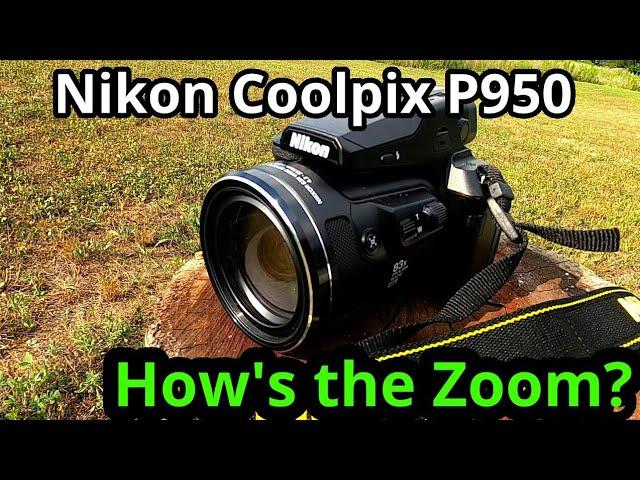 Nikon Coolpix P950 How's the Zoom?