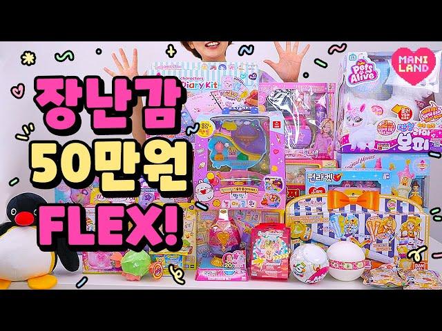 (SUB) $500 Toy Haul in Korea! (it's my Birthday Gift!)