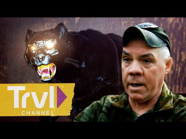 Catching the Monstrous Wampus Beast | Mountain Monsters | Travel Channel