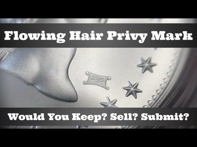 Flowing Hair Silver Medal with Privy In Hand - Quick & Up-Close Look - Would You Keep? Sell? Submit?