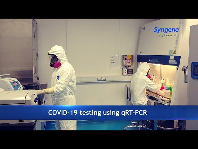 COVID-19 testing using qRT-PCR at Syngene