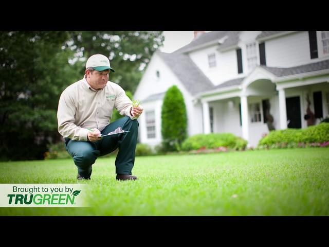 What to Expect from Your Lawn Care Plan from TruGreen