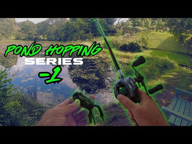 Pond Hopping Series - Ep 1 - Topwater Frog Bass Valley, Bass Fishing South Africa.