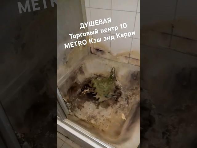 Мы живем ради сотрудников говорит Йоханнес Толай генеральный директор METRO