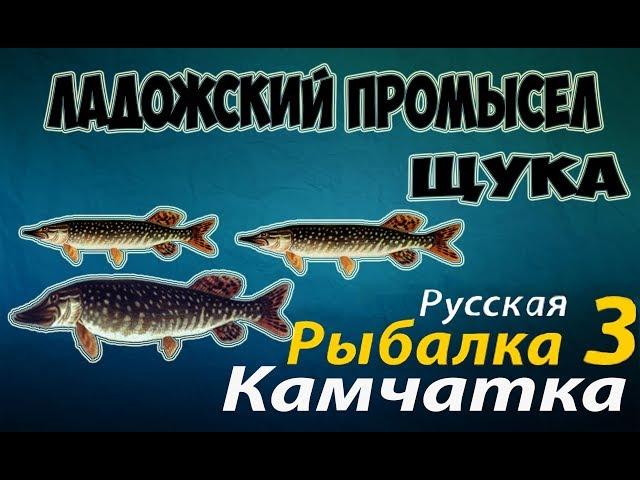 Русская Рыбалка 3.99 —Ладожский промысел (Щуки)