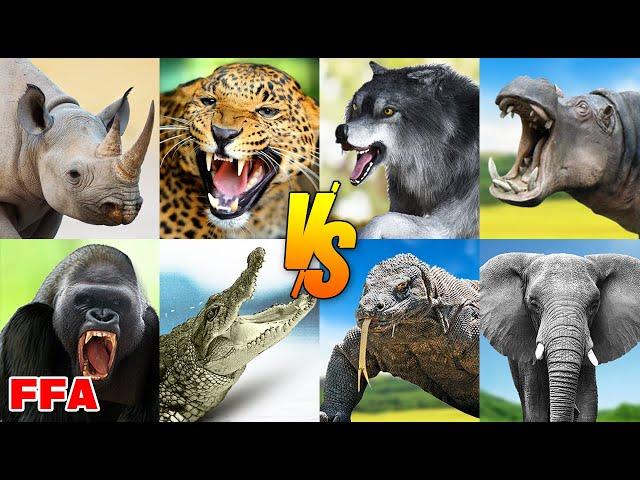 Wild Animal Tournament Arena Battle Royale | SPORE