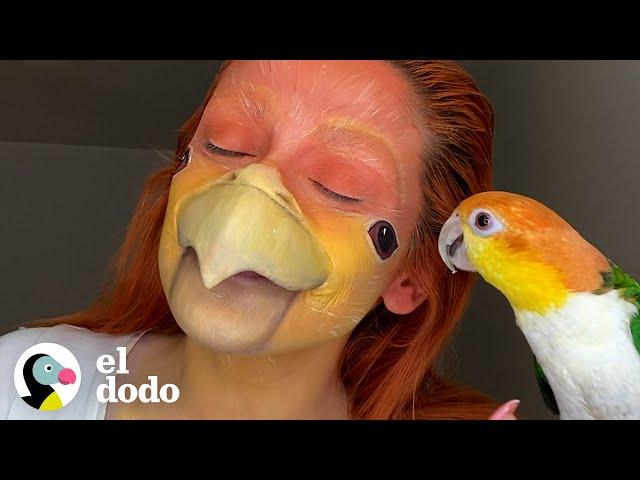 Pájaro pegajoso corre a la ducha cada vez que escucha correr el agua  | El Dodo