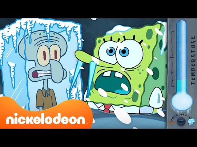 سبونج بوب | أقصى حالات الطقس تطرفًا في بيكيني بوتوم على الإطلاق | Nickelodeon Arabia