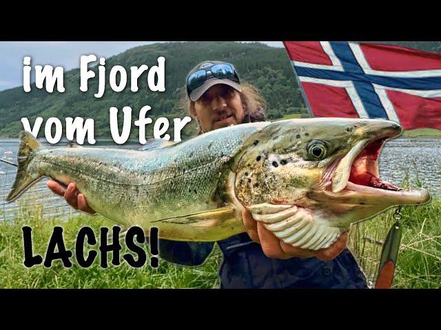 Salmon fishing from the shore at a fjord in Norway!