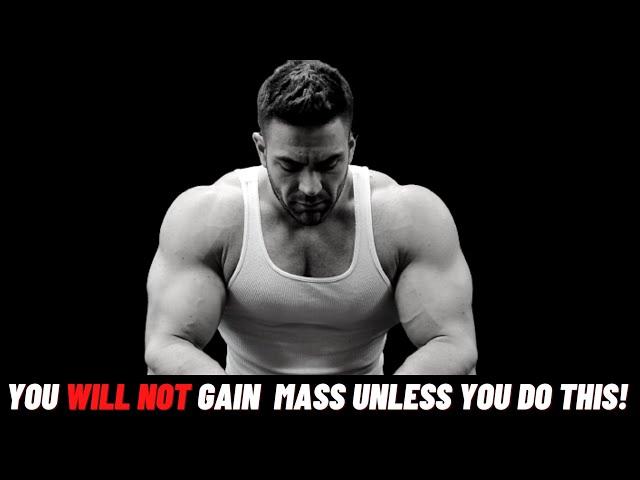 Everything You Need To Know To Gain More Mass!