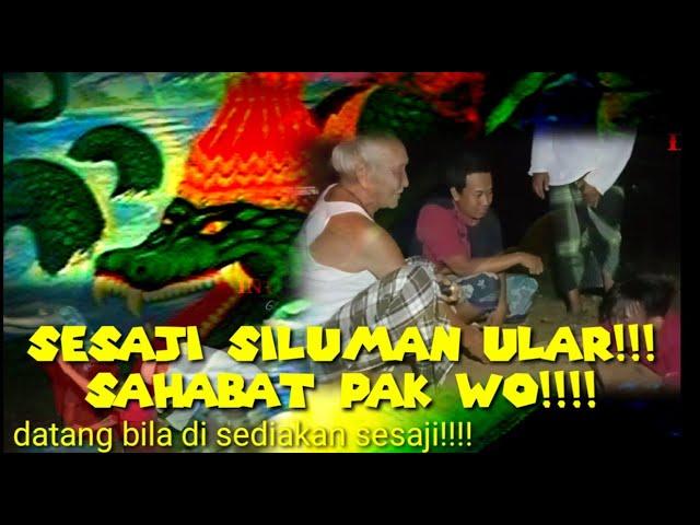 sesaji siluman ular kembang!!! sahabat pak wo#horor di Indonesia#mistik Indonesia