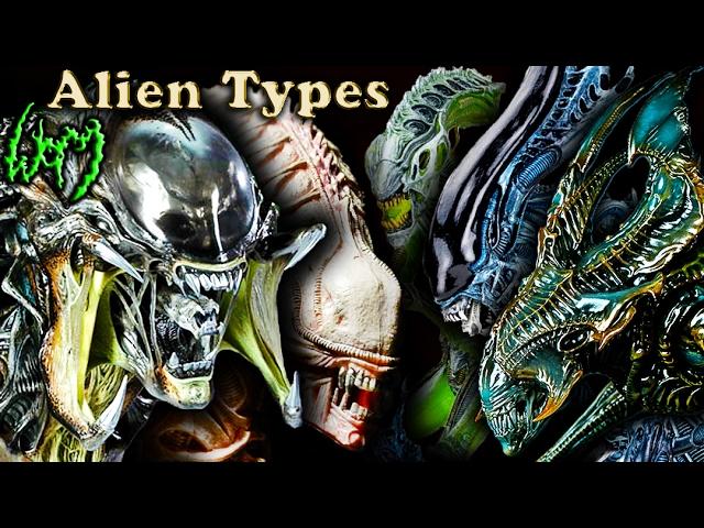 Every Type of XENOMORPH - ALIEN