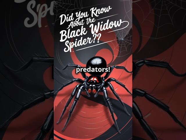 Did You Know About the Black Widow Spider? #shorts