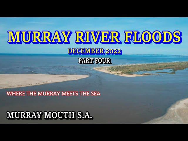 Murray River Floods 2022 / Part Four - The Murray Mouth