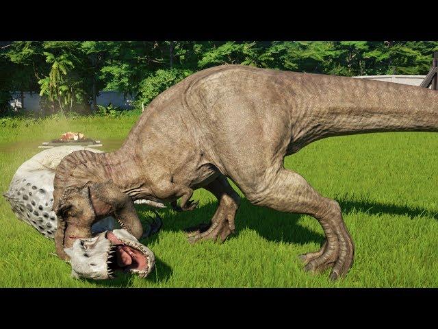 T-REX MAX Vs ALL CARNIVORE DINOSAURS - Jurassic World Evolution