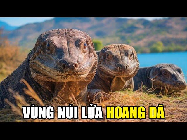 Thiên Nhiên Hoang Dã Indonesia | Khám Phá Thế Giới Động Vật Hoang Dã