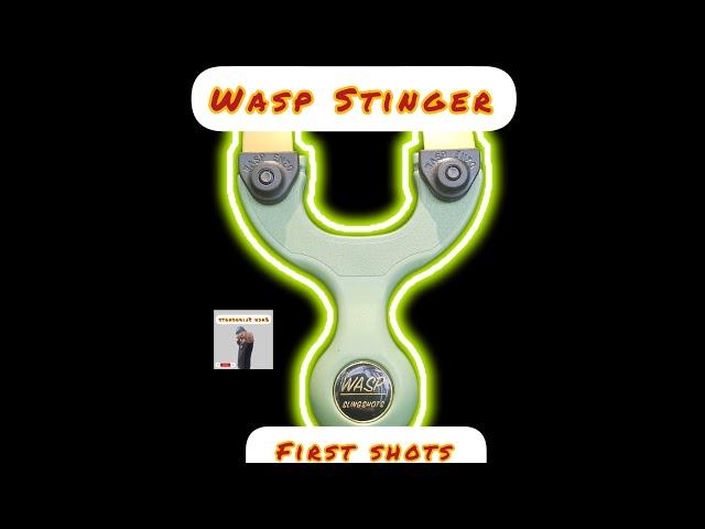 First shots and thoughts with the wasp stinger