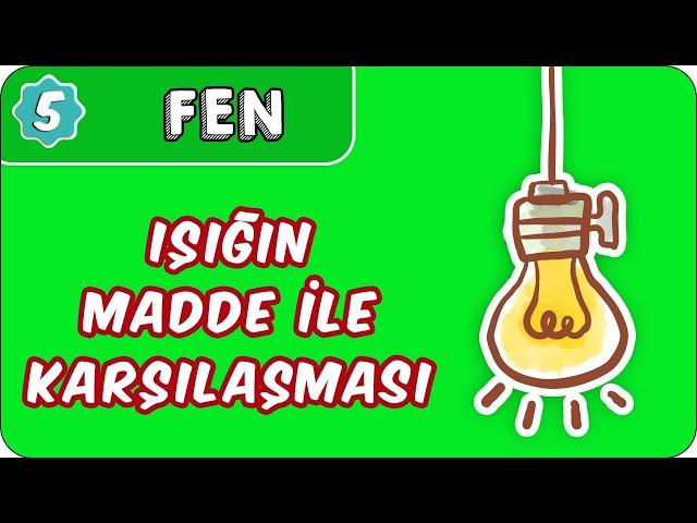 Işığın Madde ile Karşılaşması | 5. Sınıf Fen evokul Kampı