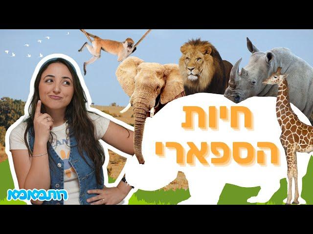 רותמאמא - חיות הספארי