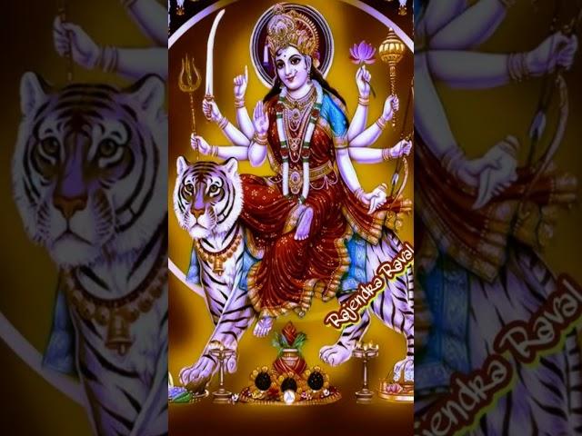 jai Maa kuldevi #youtube #shortvideo #sherawalimaastatus #ambemaa