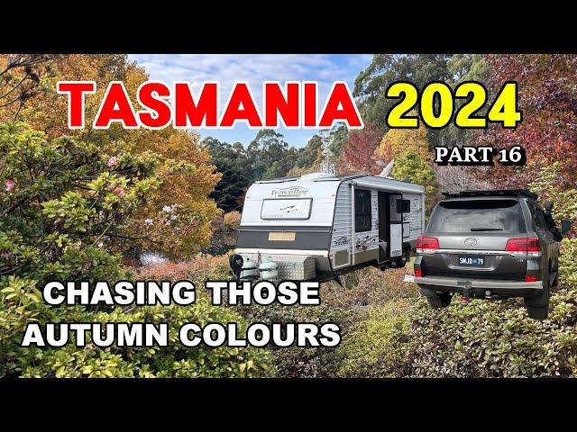 Tasmania 2024 /  Pt 16 - Chasing the Autumn Colours of Tasmania. Latrobe, Sheffield & Devonport.