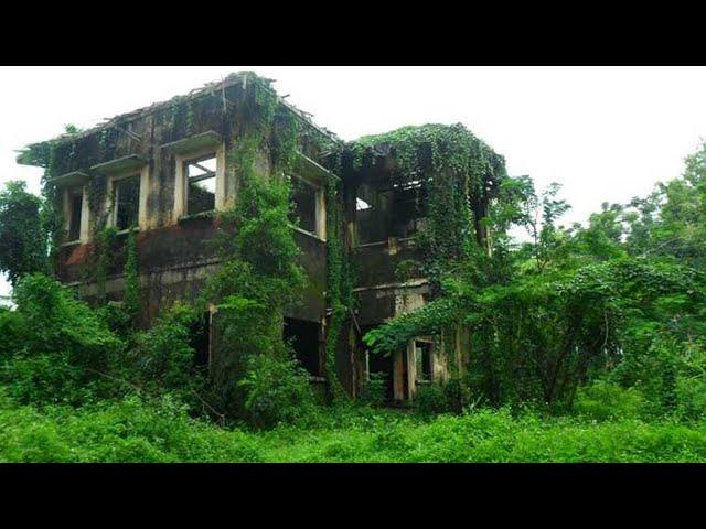 Transform abandoned house and give it a second life!