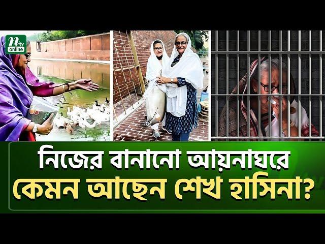 কেমন আছে হাসিনার সেই বোয়াল মাছগুলো ? | Sheikh Hasina | NTV News