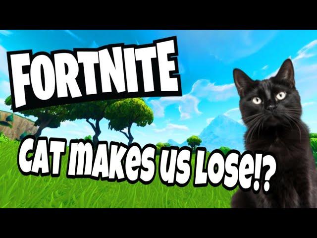 Fortnite - A cat lost us a game!?