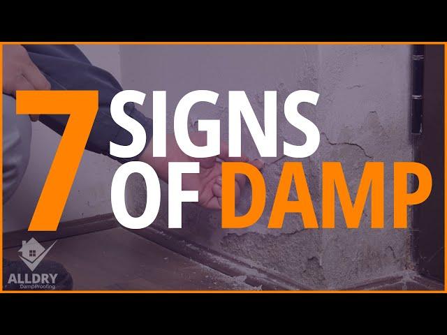 The 7 Signs of Damp You Need to Know When Buying a House