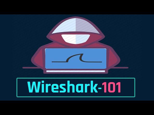 Wireshark Tutorial For Beginners (2022): From Absolute Basics | Packet Capture | Kali Linux