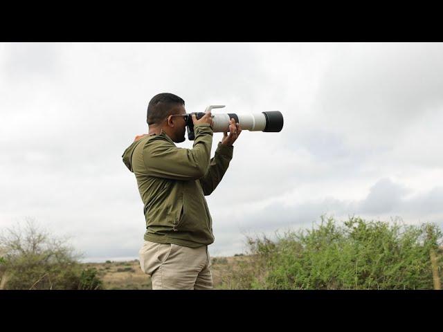 Canon RF200-800mm | Product Review | Paras Chandaria