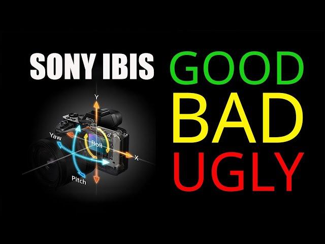 The TRUTH about Sony Stabilization (it's BETTER than you think!)