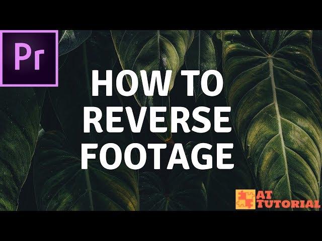 Adobe Premiere Pro CC tutorial - How to Reverse Footage