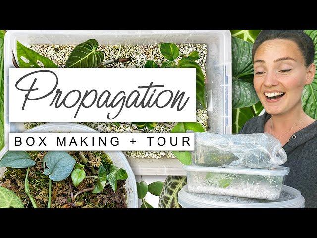 Make Propagation Boxes With Me + TOUR Of My Prop Boxes 