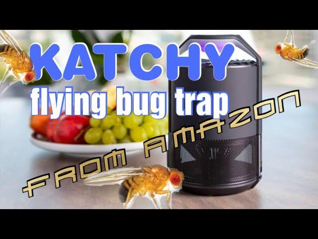 KATCHY Fruit fly, gnats and Flying Bugs Trap